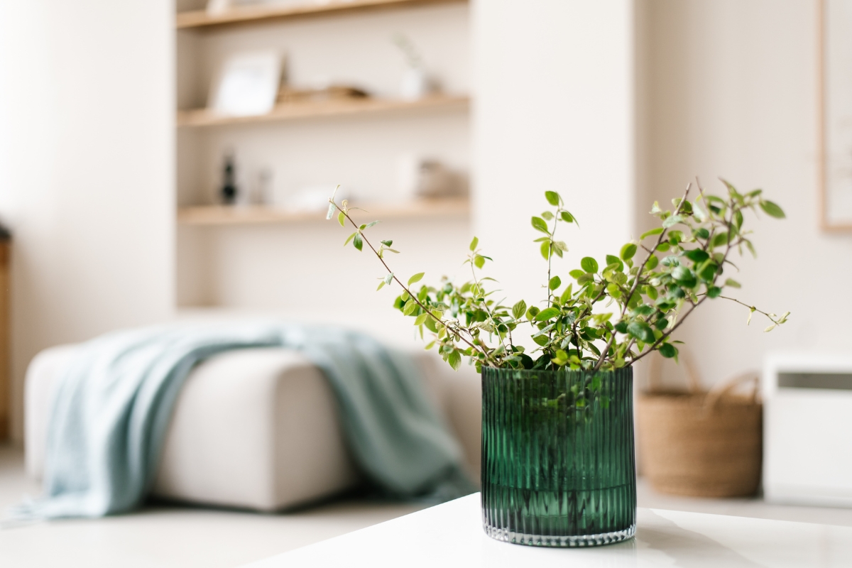 Bright living room with soft botanical accents and eucalyptus stems