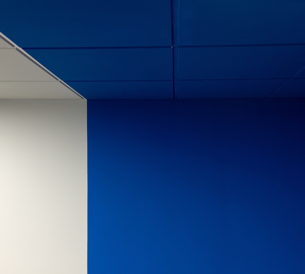 Modern living room featuring a bold color-drenched ceiling that adds contrast and visual depth to the interior design