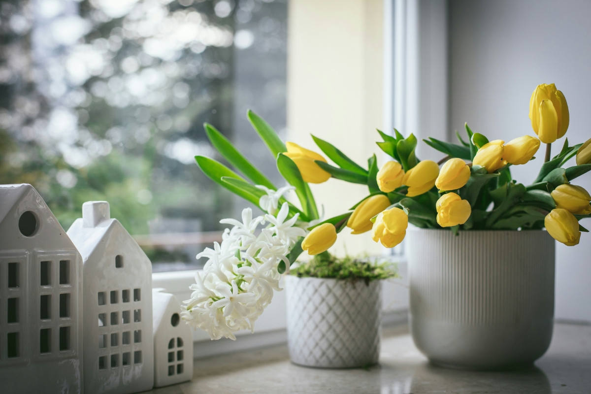 Cozy living space with indoor plants, wooden decor accents, clay pots, and natural textures creating a fresh and nature-inspired spring home interior.