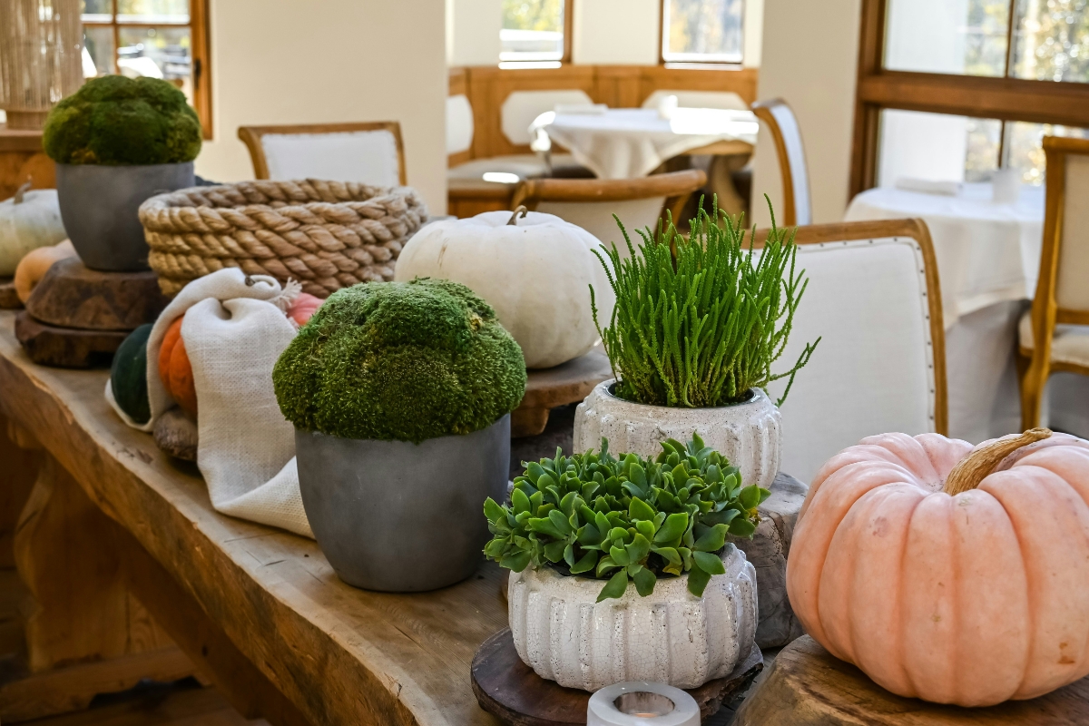 Cozy autumn interior featuring natural elements like wooden trays, dried flowers, woven baskets, and clay accents to create a warm, seasonal home ambiance