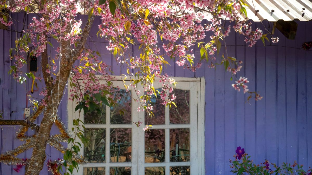 Bright spring living room with light linen fabrics, woven textures, indoor plants, and natural sunlight creating a fresh, cozy, nature-inspired home decor look.