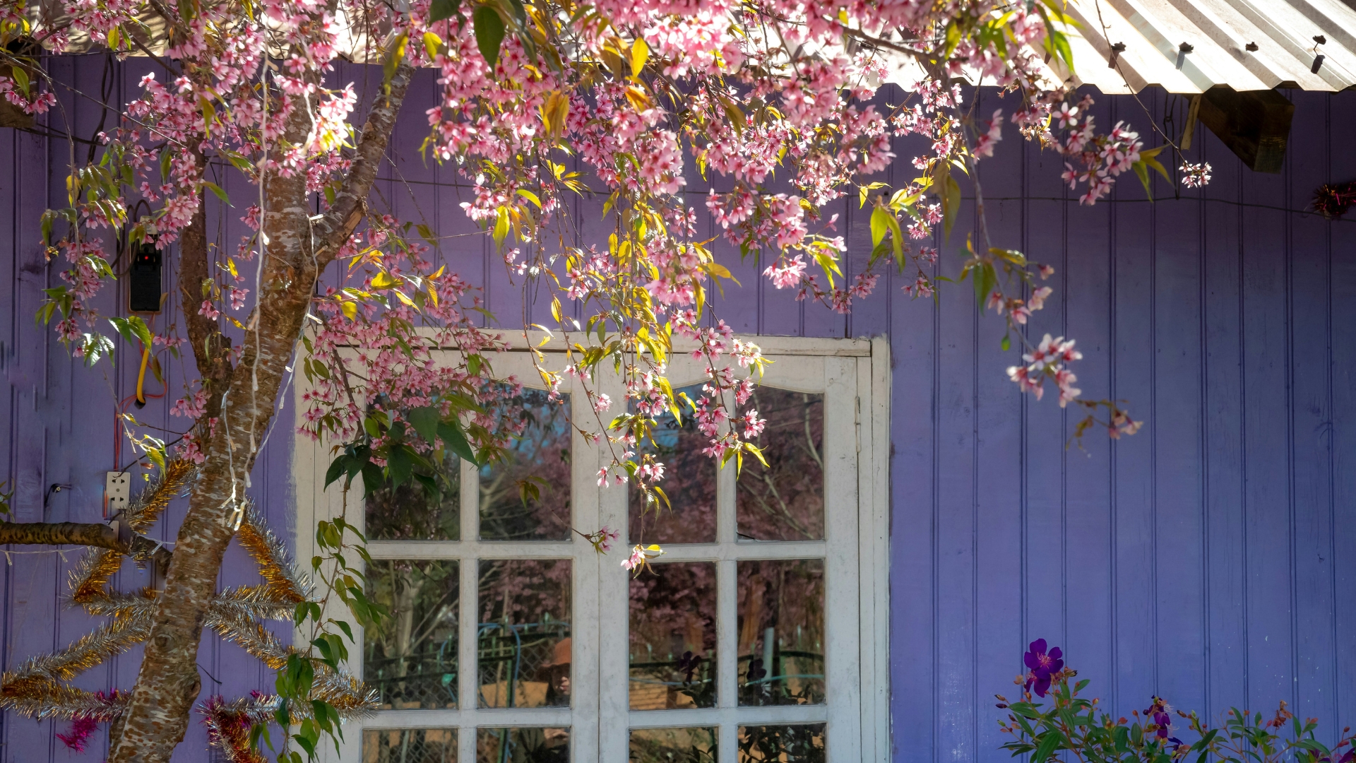 Bright spring living room with light linen fabrics, woven textures, indoor plants, and natural sunlight creating a fresh, cozy, nature-inspired home decor look.