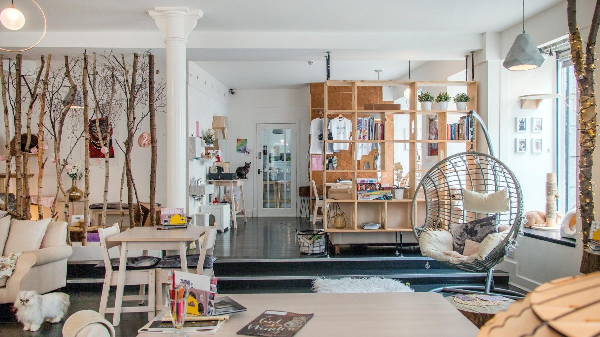 Transparent acrylic coffee table in a modern living room with natural light