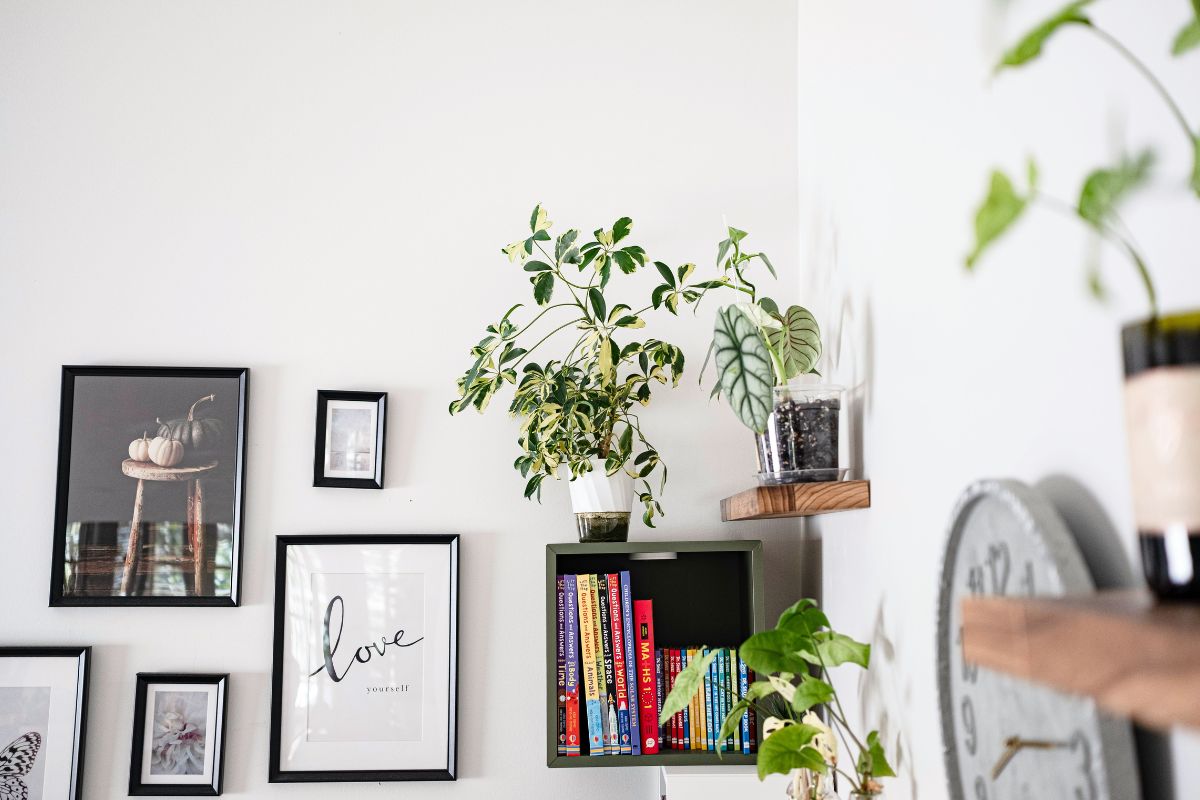 Biophilic interior design living room with large windows, lush indoor plants, natural wood furniture, neutral tones, and abundant natural light creating a calm nature-inspired space.