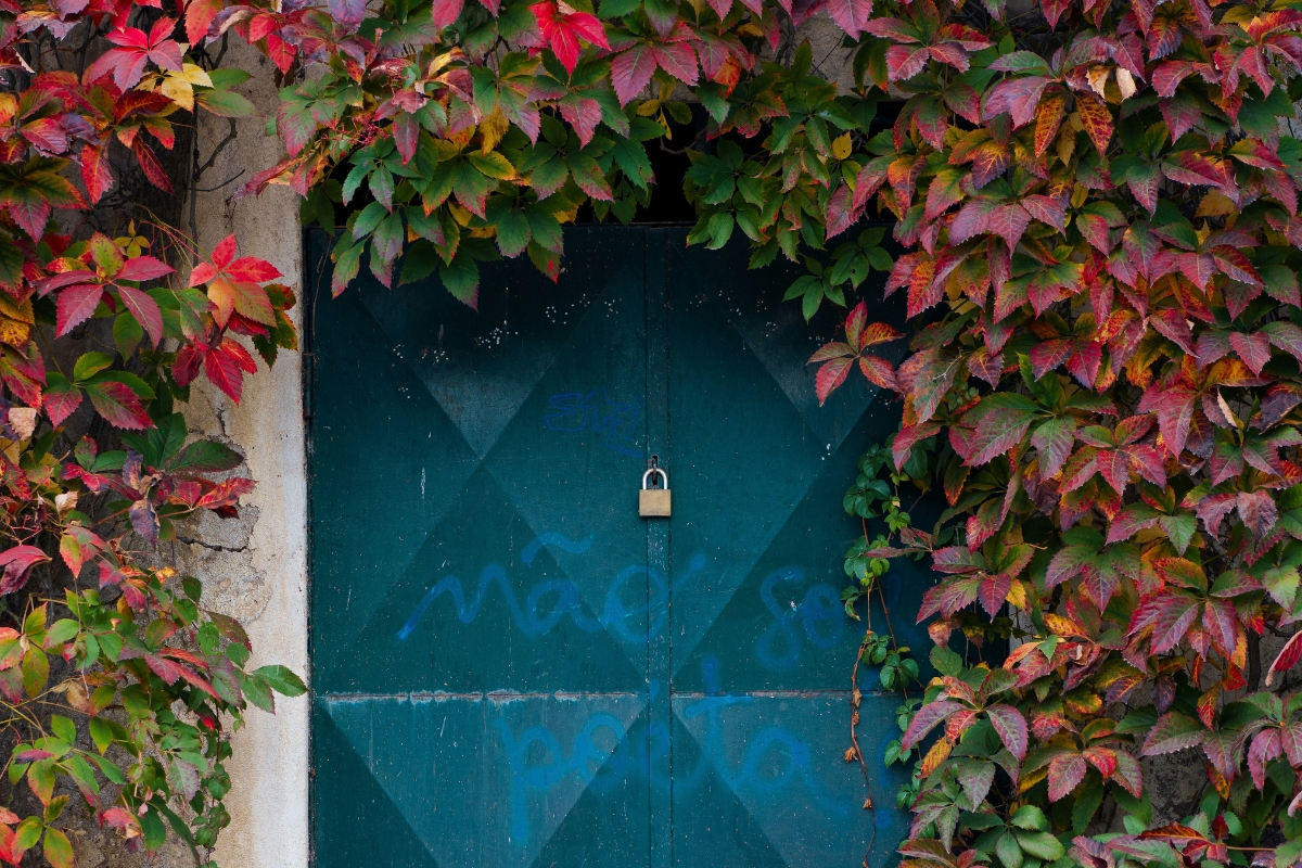 cozy fall entryway with pumpkins and autumn wreath