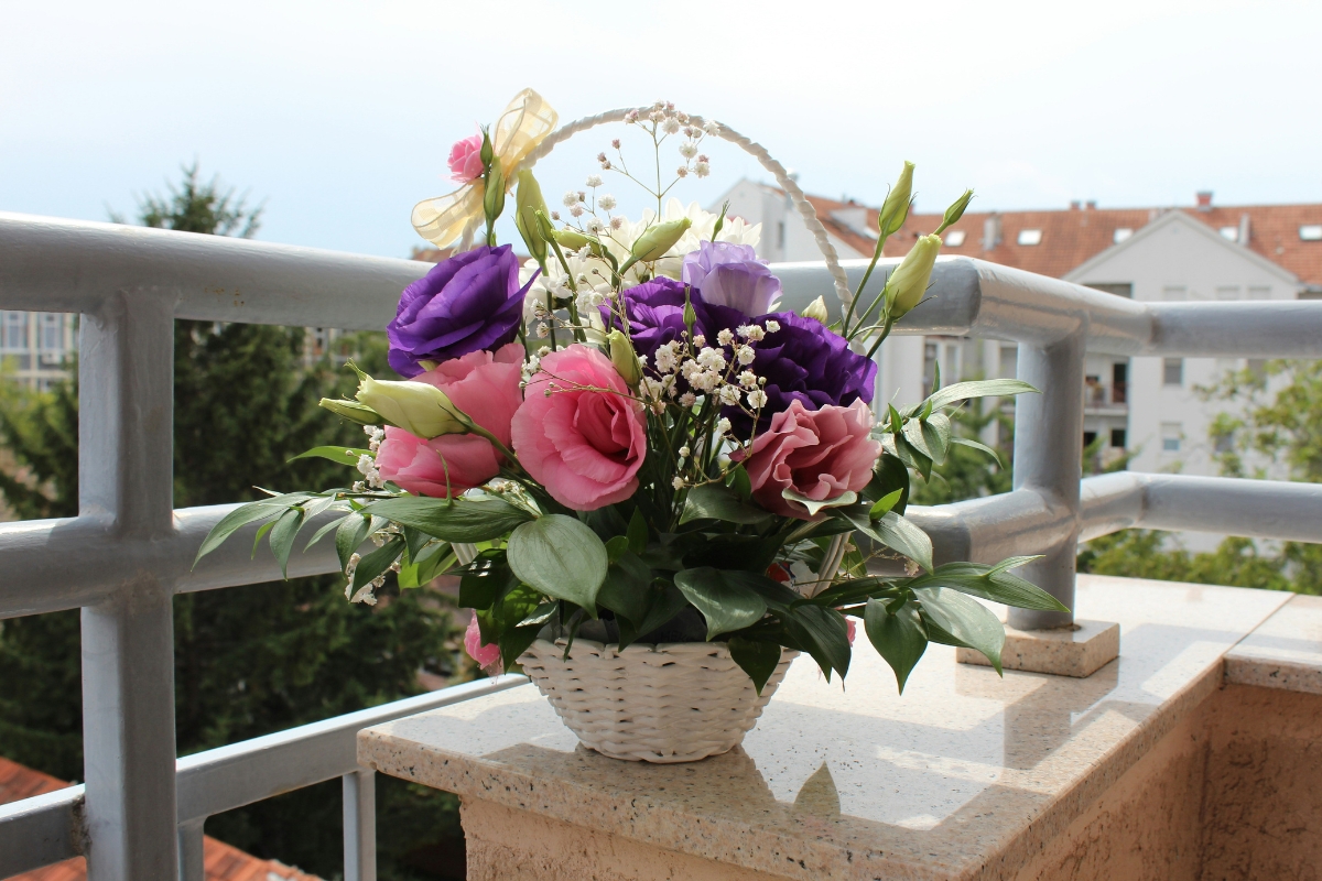 balcony decorated with plants and flowers for summer