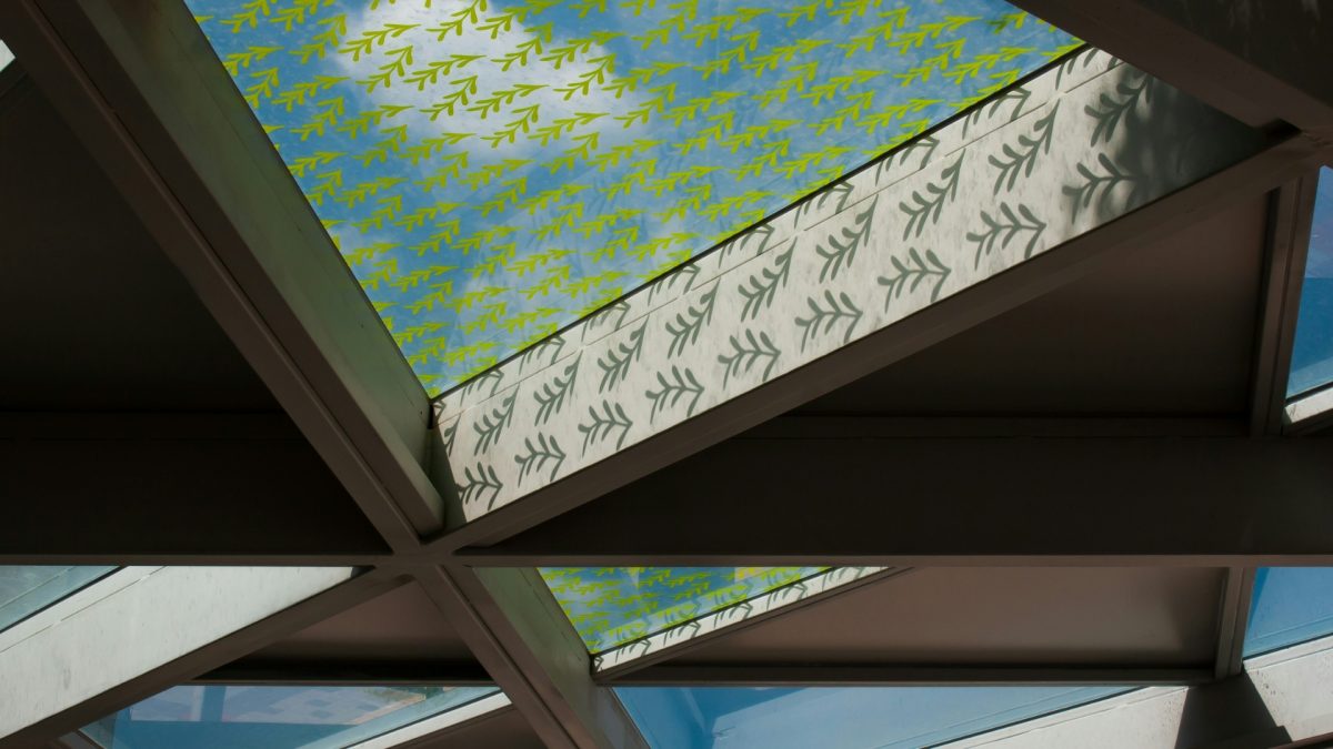 Eco-friendly ceiling panels in a modern living room