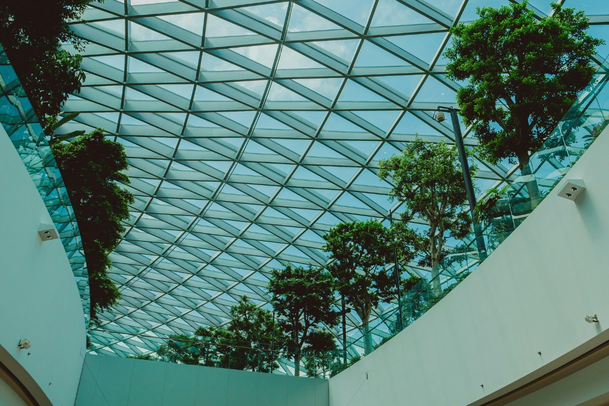 Green botanical ceiling with hanging plants in a modern living room