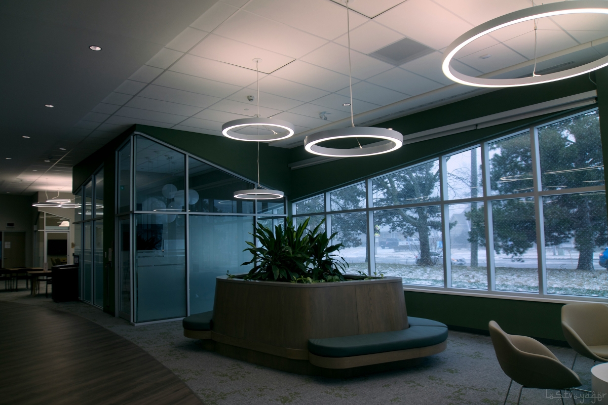 modern biophilic interior design, biophilic home design, nature inspired interior