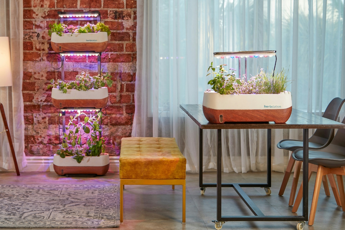 smart indoor garden with automated plant care system