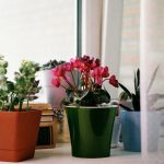 spring home refresh living room decor