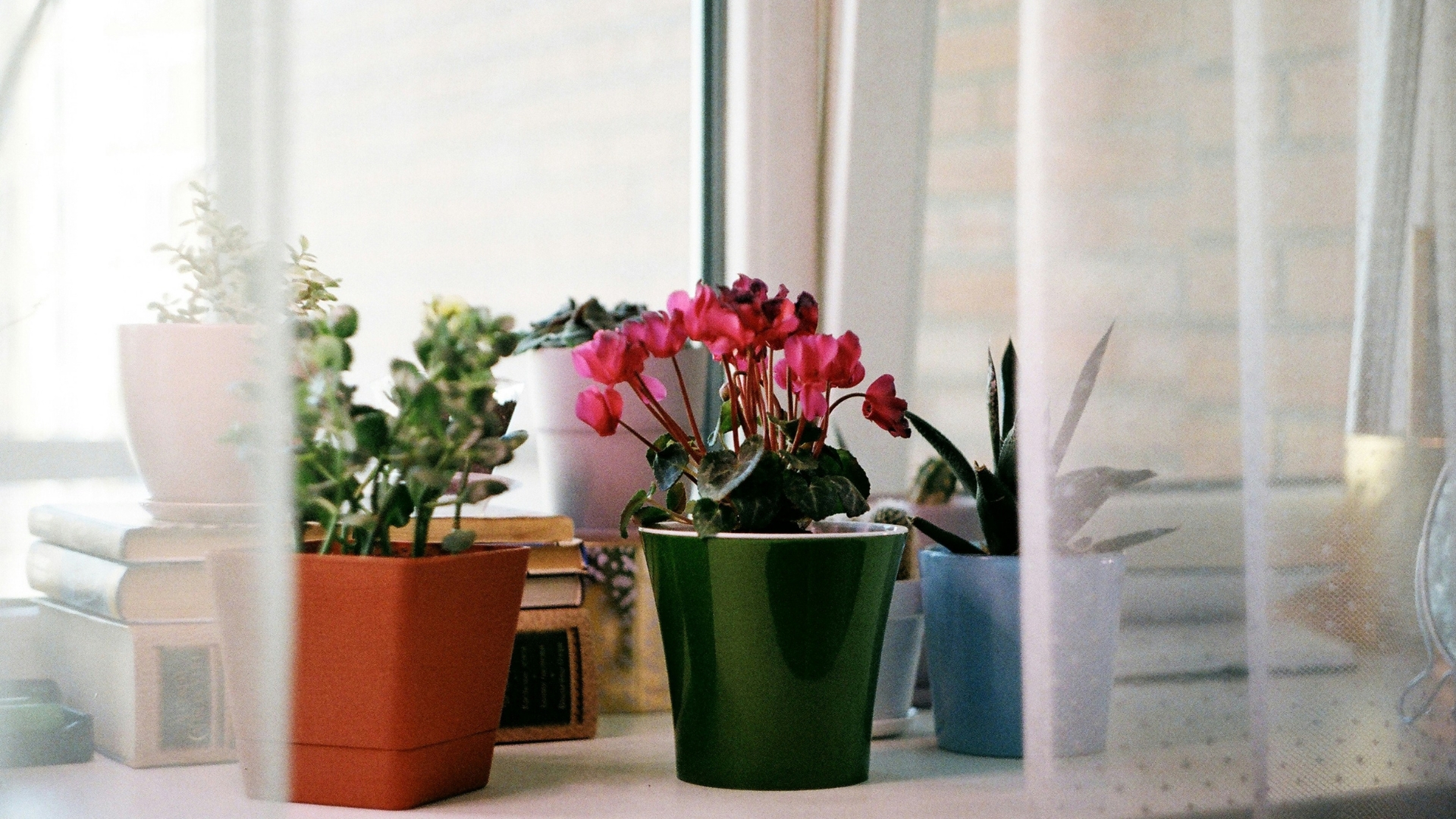 spring home refresh living room decor