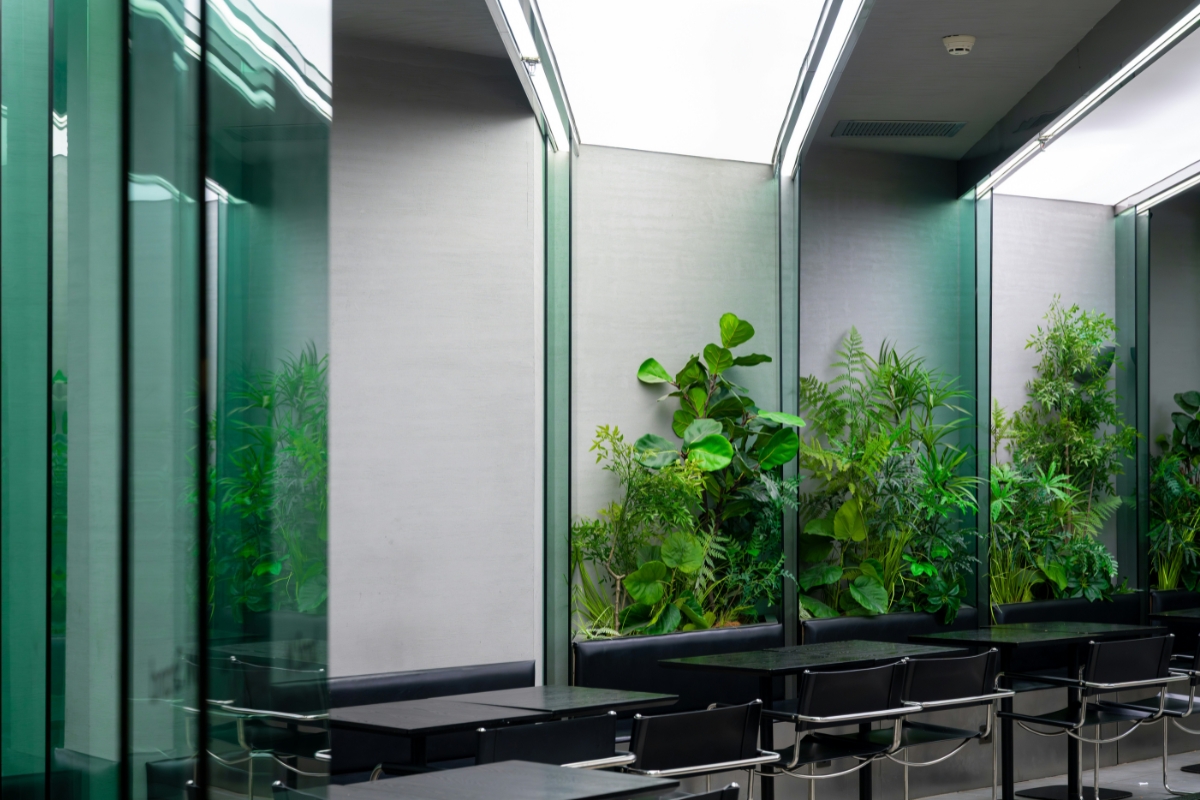Biophilic interior design living room with indoor plants and natural light