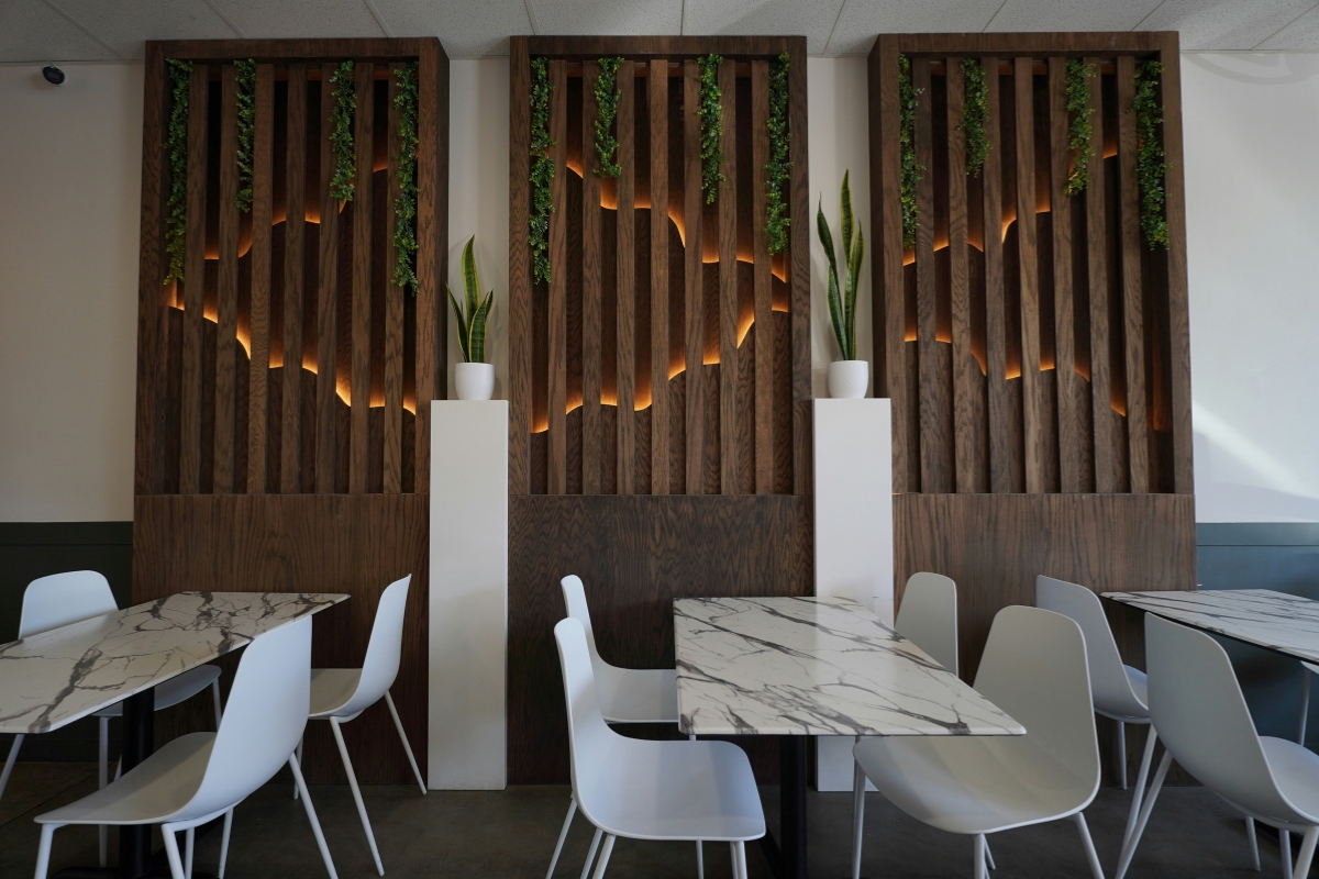 Biophilic design living room with indoor plants and natural sunlight