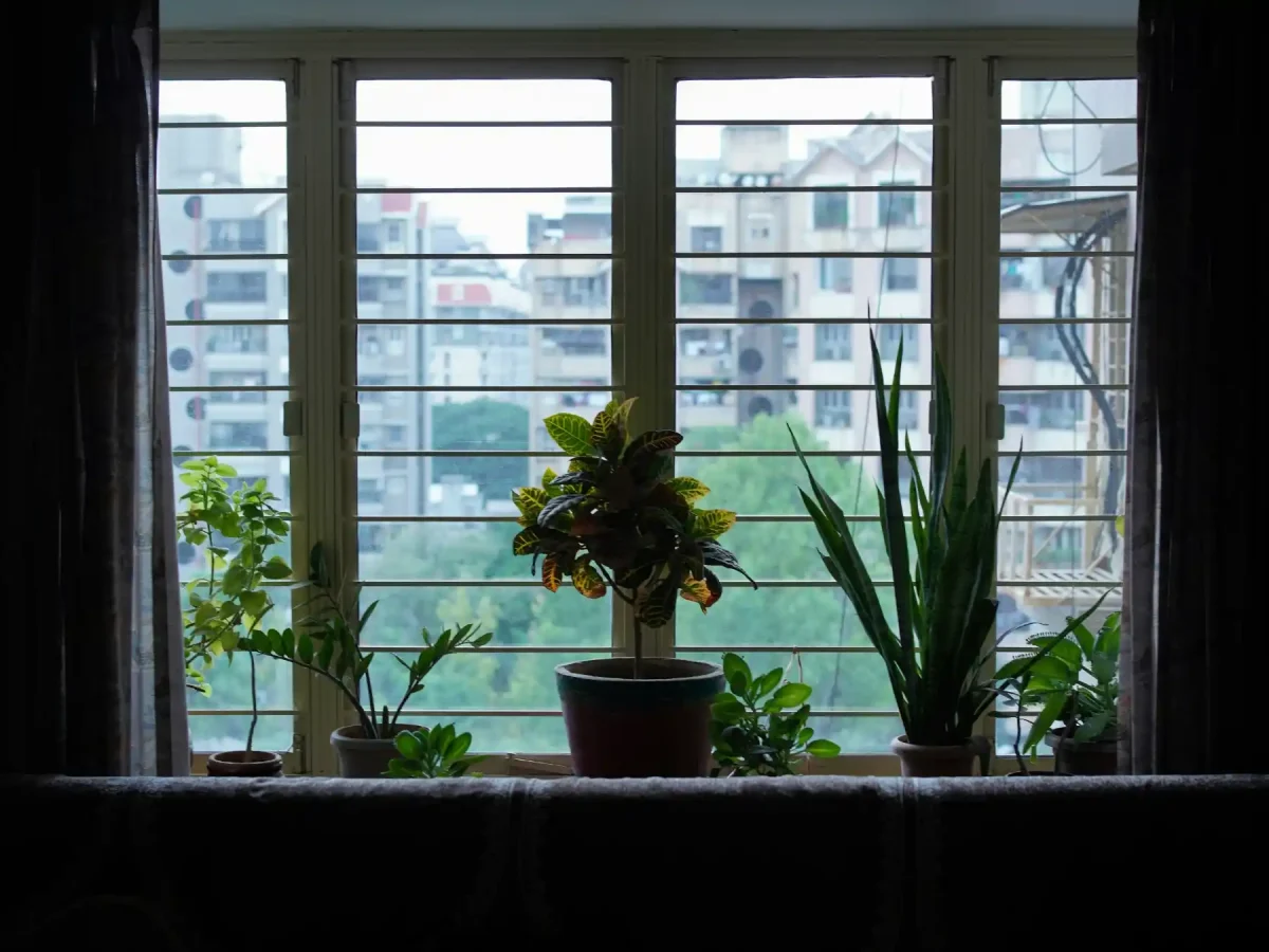 Tiny apartment window with properly raised curtain rods