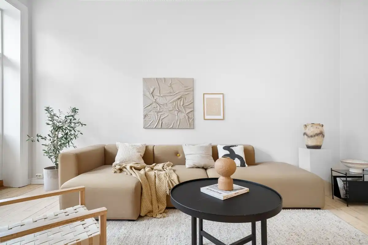 small living room ideas with modern sofa and natural lighting in apartment