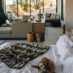 Cozy bedroom ideas with warm lighting and soft neutral bedding