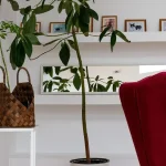Empty corner decor ideas with plants, shelves, seating, and stylish lighting