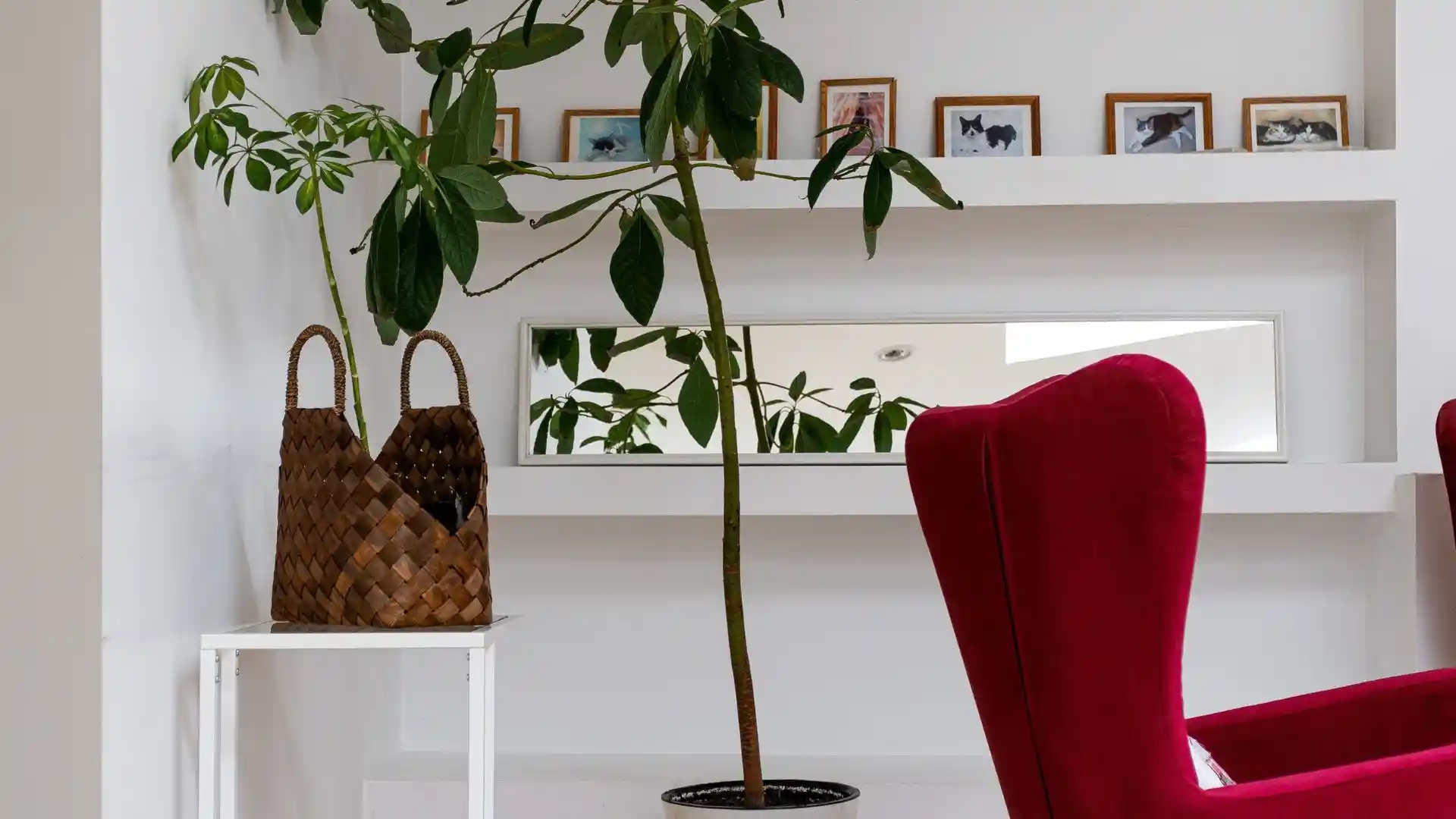 Empty corner decor ideas with plants, shelves, seating, and stylish lighting