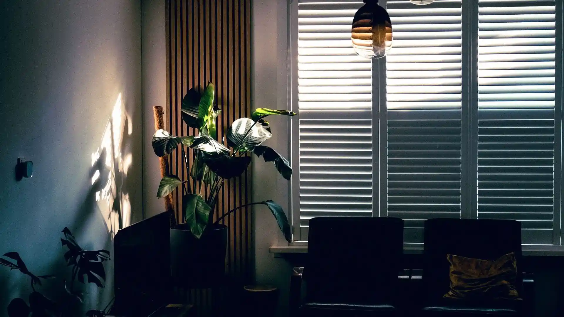 How to make a dark room feel brighter without renovating